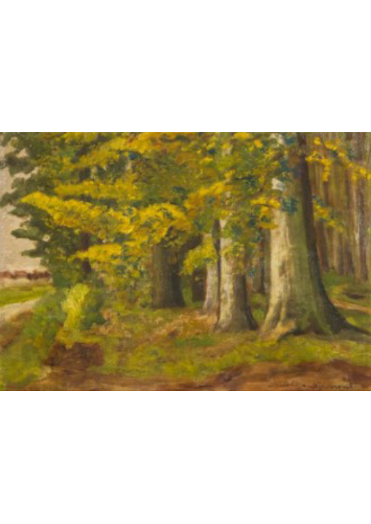 Nicolae (ISIDOR) Vermont (GRUMBERG)
